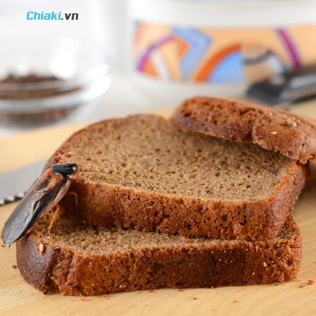 C&aacute;ch bẫy gi&aacute;n bằng bia v&agrave; b&aacute;nh m&igrave;