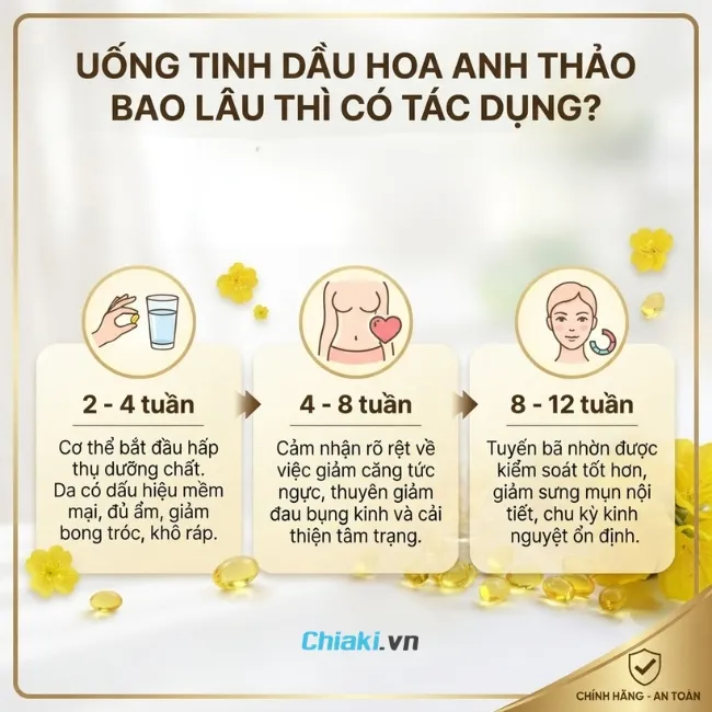 Đa số phụ nữ sẽ bắt đầu cảm nhận được hiệu quả t&iacute;ch cực của tinh dầu hoa anh thảo từ 4 - 8 tuần