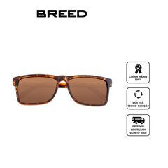 Kính mắt nam Breed Men's Tortoise Square Sunglasses BSG063BN