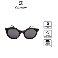 Kính mắt Cartier Silver Cat Eye Ladies Sunglasses CT0118S 004 54