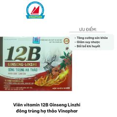 Viên vitamin 12B Ginseng Linzhi đông trùng hạ thảo Vinaphar - Hỗ trợ sức khỏe, giảm mệt mỏi và suy nhược cơ thể, vitamin B cho người lớn và trẻ em