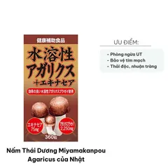 Nấm Thái Dương Miyamakanpou Agaricus Nhật Bản - Hỗ Trợ Sức Khỏe, Tăng Cường Tim Mạch, Bổ Sung Vitamin và Khoáng Chất, Hộp 360 Viên