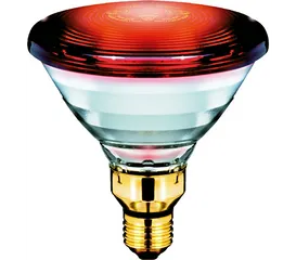 Bóng đèn hồng ngoại Philips PAR38 IR E27 150W