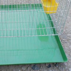 Khay Hứng Vệ Sinh Lồng Chim Bằng Nhựa 50x50cm - Giải Pháp Giữ Sạch Chuồng Nuôi Cho Chim, Gà, Thỏ, Mèo