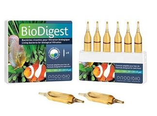 Vi sinh xử lý nước bể cá Prodibio BioDigest
