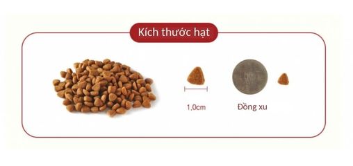 Thức ăn hạt mềm hữu cơ Zenith cho chó già - Dinh dưỡng tự nhiên tăng cường miễn dịch cho chó lớn tuổi, 1.2kg