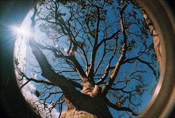 Máy ảnh film 35mm Lomography Lomo Fisheye - Nhiếp ảnh độc đáo với góc nhìn rộng, lưu giữ khoảnh khắc ấn tượng