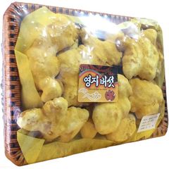 Khay Nấm Linh Chi Thượng Hoàng Hàn Quốc Tai To - Hỗ Trợ Sức Khỏe, Ngăn Ngừa Khối U, Bồi Bổ Cơ Thể, 500g