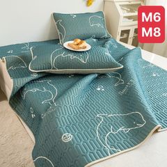 Chiếu điều hòa cao su non Tencel Latex 2D - Mẫu 2022 - Chất liệu mềm mại, thoáng mát, kháng khuẩn, kèm 2 vỏ gối và túi đựng tiện lợi.