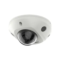 Camera IP Dome 4MP Hikvision DS-2CD2543G2-IWS