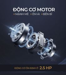 Máy Chạy Bộ Điện Đại Việt DV-S202M 2.5 HP - Treadmill Đa Chức Năng Tập Luyện Hiệu Quả Tại Nhà, Hỗ Trợ Giảm Cân và Thân Hình Đẹp
