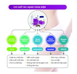 Viên Uống Giảm Cân Fit MORE - Hỗ Trợ Đốt Mỡ, Tăng Cường Chuyển Hóa, Cảm Giác No Bụng - Sản Phẩm Dinh Dưỡng Hỗ Trợ Giảm Cân 40 Viên