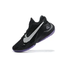 Giày nam Nike Zoom Freak 2 Dusty Amethyst CK5424-005