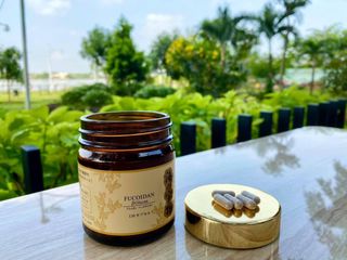 Viên Uống Fucoidan Umi no Takaramono Nhật Bản - Hỗ Trợ Tăng Cường Miễn Dịch, Bồi Bổ Sức Khỏe - Hộp 130 Viên, Công Nghệ Nano