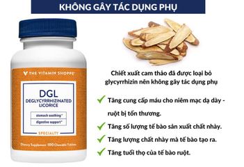 Viên Nhai Hỗ Trợ Giảm Loét Dạ Dày The Vitamin Shoppe DGL - Chiết Xuất Cam Thảo Tăng Cường Bảo Vệ Niêm Mạc Dạ Dày 100 Viên