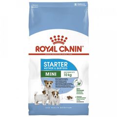 Thức ăn chó royal canin Mini stater Mother