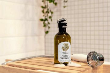 Dầu Gội Xả Gừng The Body Shop Ginger Anti-Dandruff 250ml - Giải Pháp Ngăn Gàu, Làm Sạch Và Dưỡng Ẩm Tóc Từ Tinh Dầu Gừng Sri Lanka