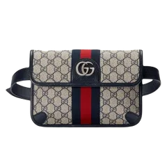 Túi bumbag Gucci 020427 Ophidia Belt Bag