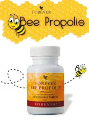Viên Nhai Keo Ong Forever Bee Propolis 027 FLP Mỹ - Tăng Cường Sức Khỏe, 60 Viên Bổ Sung Dinh Dưỡng, Hỗ Trợ Đề Kháng Tự Nhiên