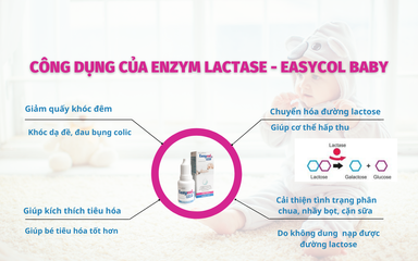 Enzym Lactase Easycol Baby 15ml - Hỗ Trợ Cải Thiện Tiêu Hóa Cho Trẻ Sơ Sinh & Trẻ Nhỏ, Giúp Hấp Thụ Đường Lactose Tốt Hơn