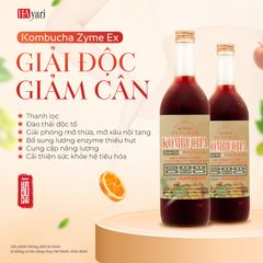 Nước Uống Hỗ Trợ Detox Làm Đẹp Da Kombucha Zyme EX 720ml - Giải Độc, Cải Thiện Tiêu Hóa & Tăng Cường Miễn Dịch