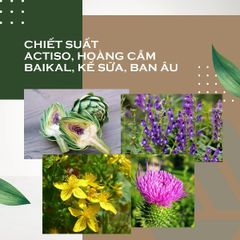 Viên Uống Hỗ Trợ Tăng Cường Chức Năng Gan Synchrovitals IV - Bổ Gan Từ Thiên Nhiên, Giải Độc, Hỗ Trợ Sức Khỏe Gan, 60 Viên