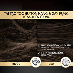 Mặt Nạ Tóc Tsubaki Cao Cấp 180g - Phục Hồi Hư Tổn, Giảm Gãy Rụng, Công Nghệ Thẩm Thấu Nhanh, Dầu Hoa Trà Nhật Bản