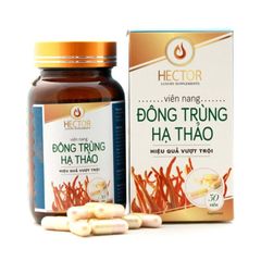 Viên nang đông trùng hạ thảo Hector - Tăng cường sức khỏe và miễn dịch, hỗ trợ chức năng gan thận, hiệu quả cao, hộp 30 viên