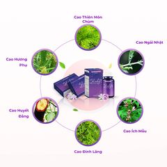 Viên uống Slady Hỗ trợ Cân Bằng Nội Tiết Tố Nữ - Bồi Bổ Khí Huyết, Điều Hòa Kinh Nguyệt, Cải Thiện Khô Hạn, Bốc Hỏa