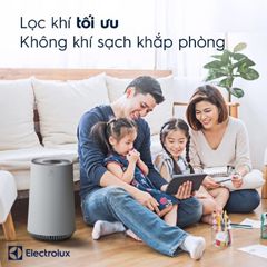 Máy Lọc Không Khí Electrolux FA31-202GY - Công Suất 3.5W-20W, Phạm Vi 26m2, Lọc Bụi Hiệu Quả cho Phòng Nhỏ