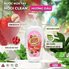 Nước Rửa Tay Hogi Clean Hương Trái Cây 500g - Làm Sạch & Bảo Vệ Da Tay Khỏi Vi Khuẩn, Thành Phần Tự Nhiên, An Toàn Cho Da