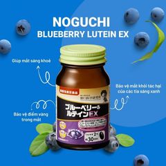 Viên uống hỗ trợ bổ mắt Blueberry & Lutein EX Noguchi - Tăng cường thị lực, giảm tình trạng khô mờ nhòe mắt, 60 viên Nhật Bản.