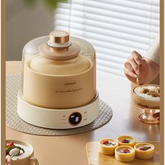Máy làm sữa chua OIDIRE ODI-SA23 đa chức năng 1L, ủ đậu nành & gạo lên men dễ dàng, thiết kế nhỏ gọn, sang trọng cho bếp