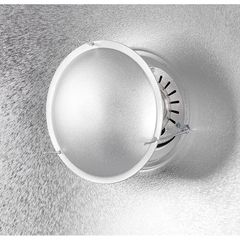 Tản sáng Beauty Dish QZ-55 Silver/White - Thiết bị ánh sáng đa chiều cho chụp ảnh chân dung và studio chất lượng cao