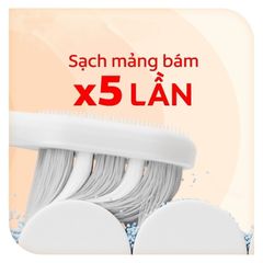 Bàn Chải Điện Colgate Pulse Công Nghệ Sóng Âm - Làm Sạch Răng Hiệu Quả, Pin Sạc 60 Ngày, Thích Hợp Du Lịch