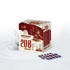 Viên uống Linhzhi Ginseng 20B Vinaphar - Hỗ trợ tăng cường sức khỏe, nâng cao sức đề kháng, giảm mệt mỏi, chiết xuất thiên nhiên