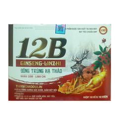 Viên vitamin 12B Ginseng Linzhi đông trùng hạ thảo Vinaphar - Hỗ trợ sức khỏe, giảm mệt mỏi và suy nhược cơ thể, vitamin B cho người lớn và trẻ em