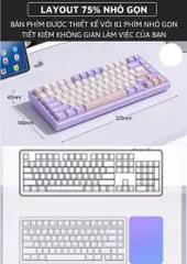 Bàn Phím Cơ Không Dây Bluetooth Attack Shark X75 - Full LED RGB Gasket Mount, Sử Dụng Cho Game Thủ, Quá Trình Kết Nối Nhanh Chóng