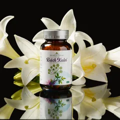 Viên uống Bách Xuân hỗ trợ cân bằng nội tiết tố nữ - Tăng cường sức khỏe và cải thiện tâm trạng cho phụ nữ trưởng thành, 60 viên