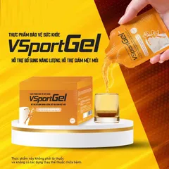 VsportGel Bổ Sung Năng Lượng và Khoáng Chất - Hỗ Trợ L-Carnitine, Taurine, Vitamin B1, B5, B6, Giảm Mệt Mỏi, Dạng Túi Tiện Dụng