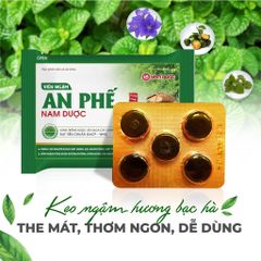 Viên Ngậm An Phế Nam Dược - Hỗ Trợ Bổ Phế, Tiêu Đờm, Thanh Họng - Kẹo Ngậm Thảo Dược Cho Trẻ Em và Người Lớn