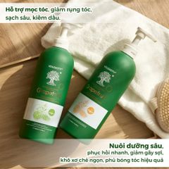 Bộ Gội Xả Bưởi Voudioty Grapefruit 500ml - Hỗ Trợ Kích Thích Mọc Tóc, Nuôi Dưỡng Tóc Khỏe Mạnh Từ Thiên Nhiên