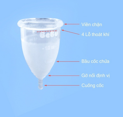 Cốc nguyệt san BeBu silicone y tế siêu mềm - An toàn, tiện lợi cho kỳ kinh nguyệt, phù hợp cho phụ nữ đã sinh và chưa sinh