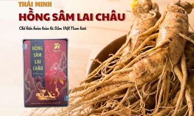 Hồng Sâm Lai Châu Hữu Cơ Thái Minh - Tăng Sinh Lực, Bồi Bổ Sức Khỏe, Hộp 14 Gói 2g/gói - Sản Phẩm Tự Nhiên Cho Người Mệt Mỏi
