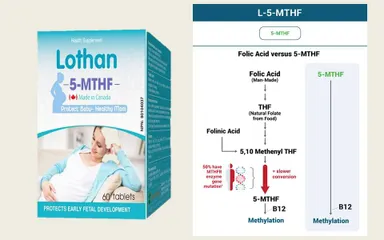 Viên uống hỗ trợ mang thai Lothan 5 MTHF - Bổ sung Acid Folic cho mẹ bầu, ngừa dị tật thai nhi, hộp 60 viên hấp thu tốt