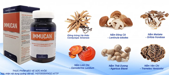 Viên uống Immucan đông trùng hạ thảo 90 viên - Hỗ trợ bồi bổ và tăng cường sức đề kháng cho người yếu, mệt mỏi