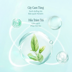 Dầu Gội Chando Himalaya Chống Gàu & Giảm Ngứa - 600ml Dầu Gội Dịu Nhẹ Từ Thiên Nhiên Cho Da Đầu Nhạy Cảm
