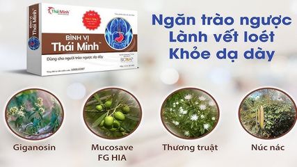 Viên uống Bình Vị Thái Minh - Hỗ trợ tiêu hóa tự nhiên, giảm acid dạ dày, viêm loét hiệu quả - Hộp 20 viên