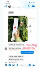 Nước hoa nữ Kenzo Flower - Hương hoa nhẹ nhàng, quyến rũ từ hoa hồng Bulgaria, hoa sơn trà và vani - Quà tặng hoàn hảo cho phái đẹp