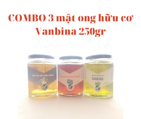 Combo 3 Chai Mật Ong Nguyên Chất Vanbina 250gr - Mật Ong Rừng, Hoa Biển, Hoa Cà Phê - Quà Tặng Thiên Nhiên Từ Việt Nam